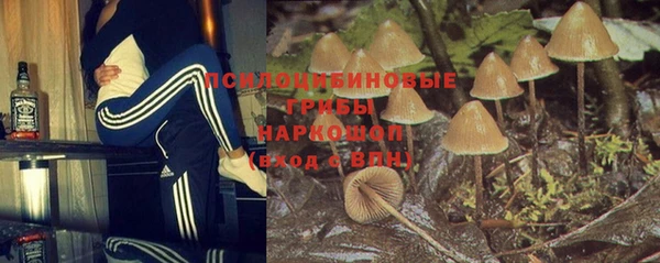 марки lsd Вяземский